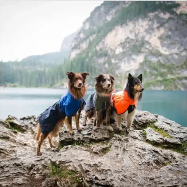 Fjord Raincoat in Five Colours
