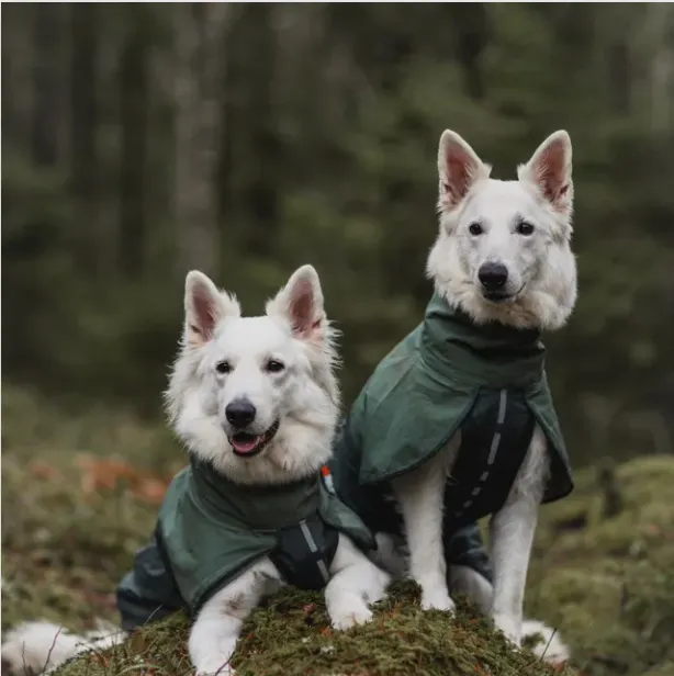 Fjord Raincoat in Five Colours